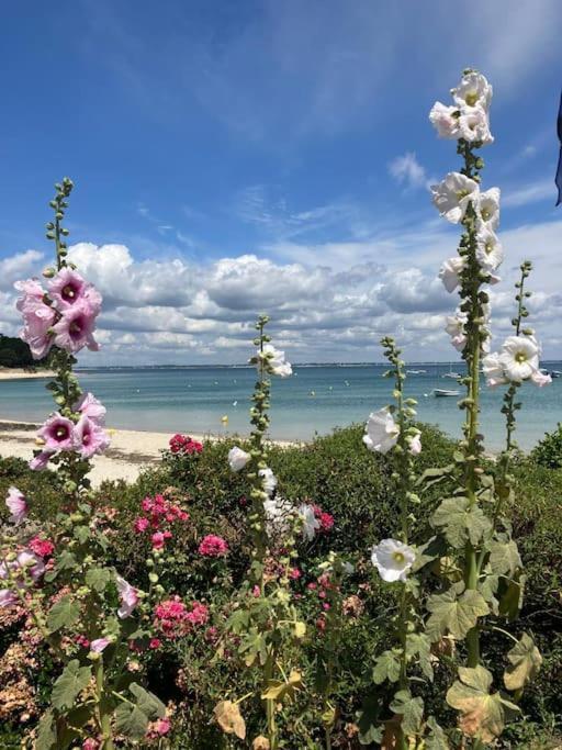 Appartement Belles Vacances Quiberon Eksteriør billede