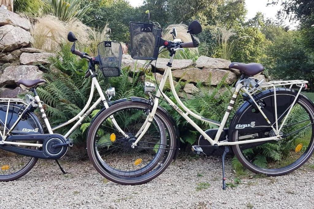 Appartement Belles Vacances Quiberon Eksteriør billede
